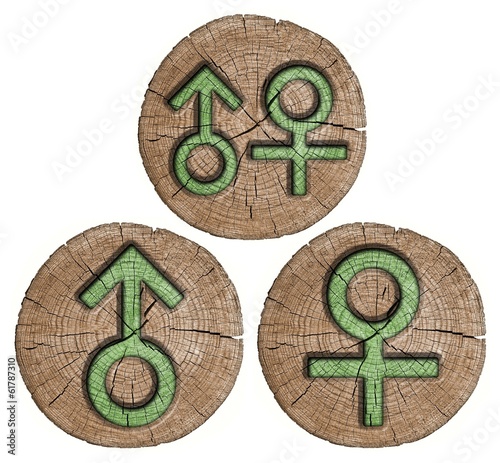 Photo: Male and female signs, wooden label Male and female signs, wooden label