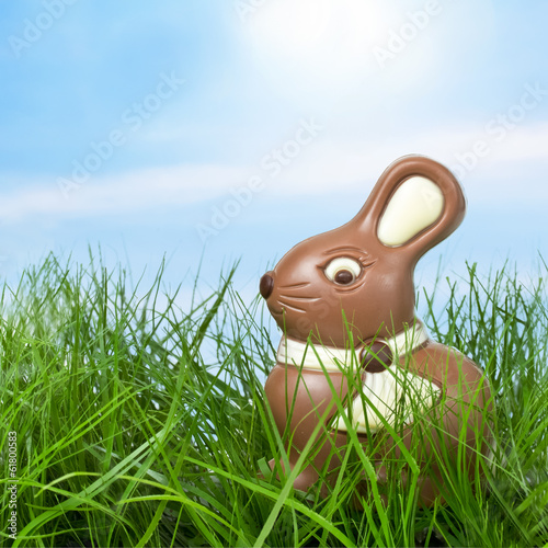 Photo: Osterhase auf der Wiese Osterhase auf der Wiese