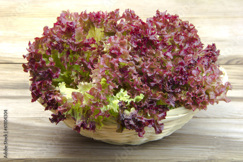 Photo: Salad Salad