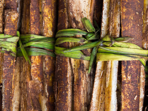 Photo: Medicinal Roots Medicinal Roots