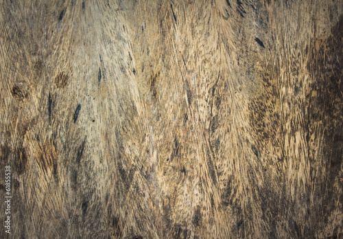 Photo: texture of bark wood use as natural background texture of bark wood use as natural background