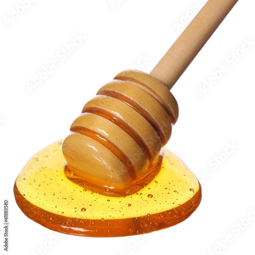 Photo: Dipper and Honey isolated on white Dipper and Honey isolated on white