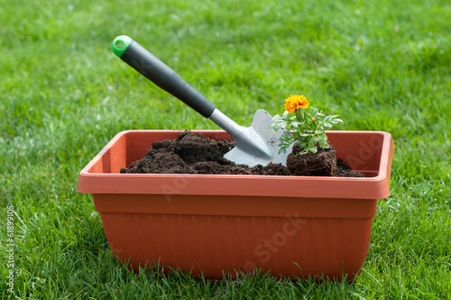 Photo: Gardening Gardening