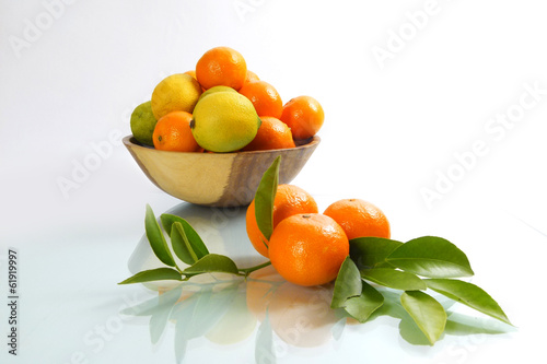 Photo: Zitrusfrüchte Zitrusfrüchte