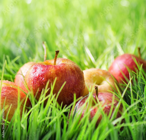 Photo: Red apples on green grass Red apples on green grass