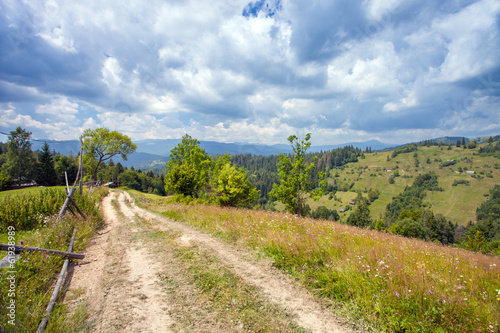 Photo: Trail through lush green forest in Carpathian mountains Trail through lush green forest in Carpathian mountains