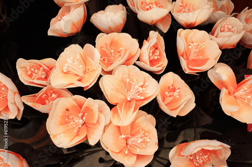Photo: fiori esposizione colture floreali fiori esposizione colture floreali