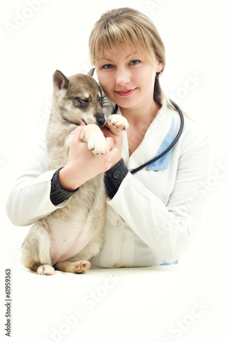 Photo: Veterinarian and Puppy Veterinarian and Puppy