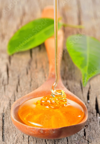 Photo: Honey dripping Honey dripping