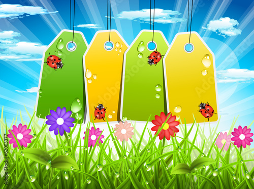 Vector: Landscape Landscape