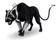 militant black panther militant black panther