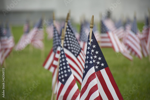 Photo: American Flags American Flags