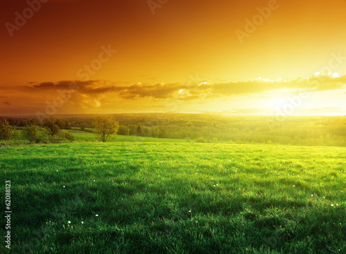 Photo: field of spring grass in sunset time field of spring grass in sunset time