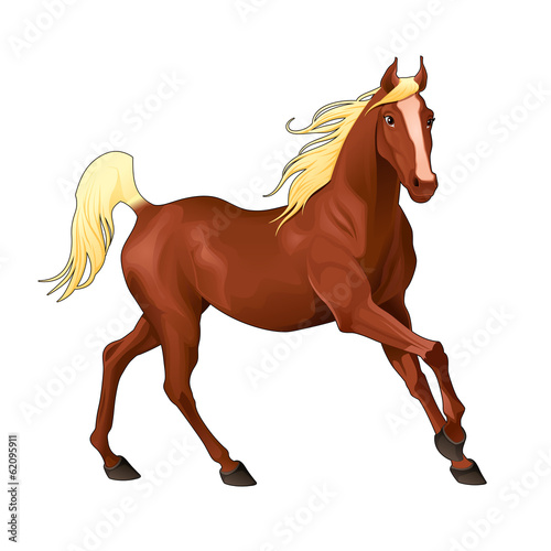 Vector: Elegant horse. Elegant horse.