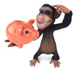 Monkey Monkey