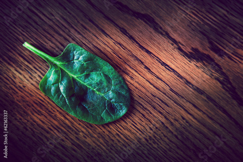 Photo: spinach leaf spinach leaf