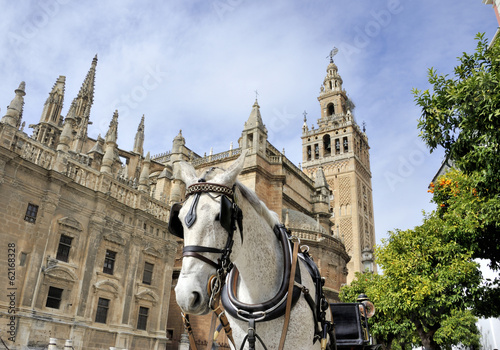 Photo: Seville cathedral Seville cathedral