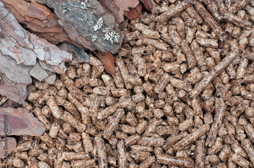 Photo: Biomass Biomass