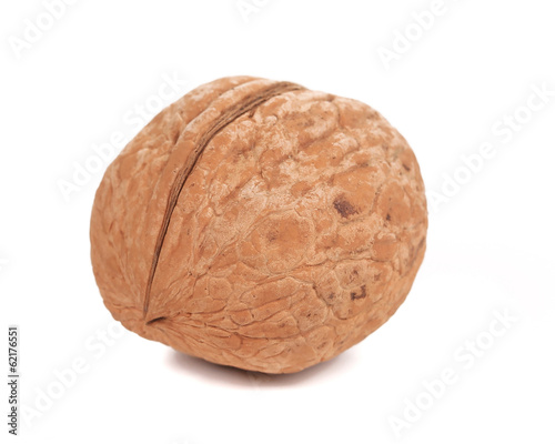 Photo: Single walnut close up. Single walnut close up.