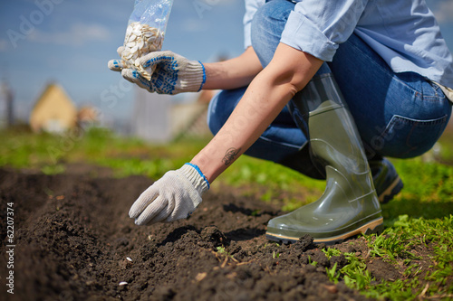 Photo: Work in the garden Work in the garden