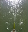 rowing in the river rowing in the river