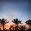 Egyptian sunset Egyptian sunset