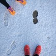 Spuhren im Schnee Spuhren im Schnee