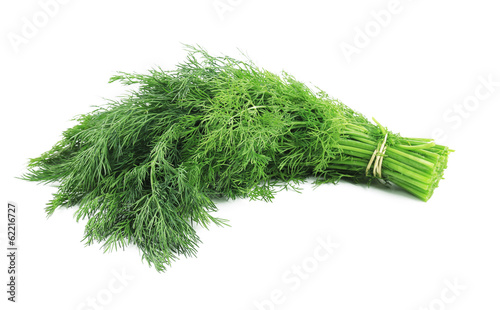 Photo: Bunch of fresh dill. Bunch of fresh dill.