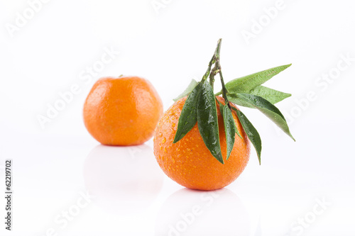 Photo: Tangerine on white background Tangerine on white background
