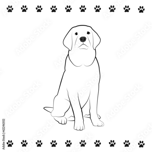 Illustration: Pooch Drawing Pooch Drawing