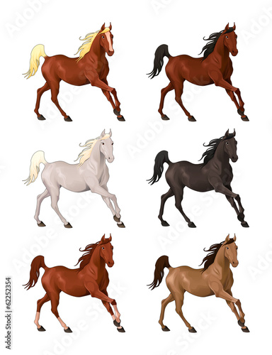 Vector: Horses in different colors. Horses in different colors.