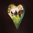 Horse Horse