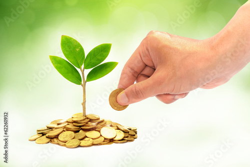 Photo: hand giving a coin to a tree growing from pile of coins / csr hand giving a coin to a tree growing from pile of coins / csr