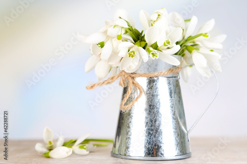 Photo: Beautiful snowdrops on blue background Beautiful snowdrops on blue background