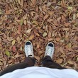 Autumn Autumn