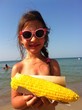 stop gmo stop gmo
