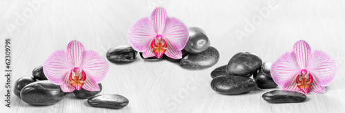  Horizontal panorama with pink orchids and zen stones on a wooden