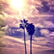 Laguna beach CA Laguna beach CA