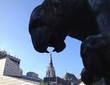 Panther Panther