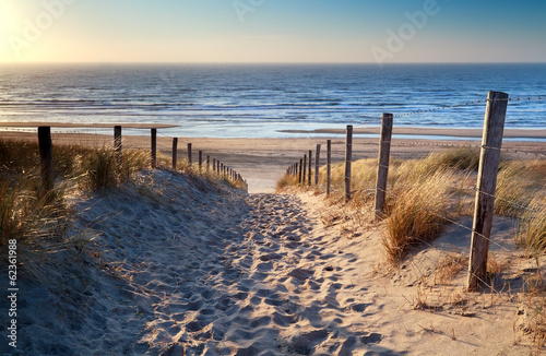 Fototapeta path to North sea beach in gold sunshine