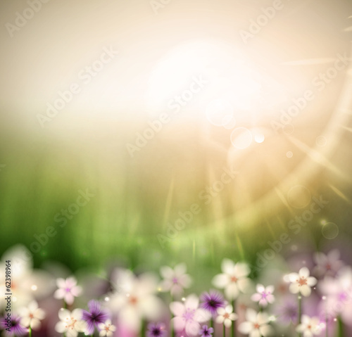 Vector: Abstract natural background with flowers Abstract natural background with flowers