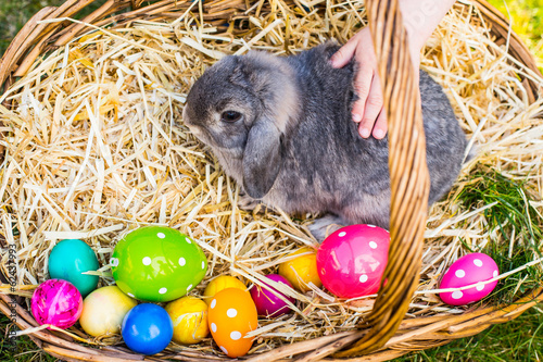 Photo: Osterhase sitzt im Strohkorb Osterhase sitzt im Strohkorb