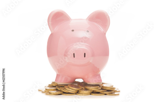 Photo: Piggy bank and coins on white background Piggy bank and coins on white background