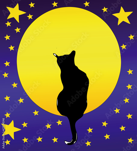Photo: The Cat, the full moon and a starry sky The Cat, the full moon and a starry sky