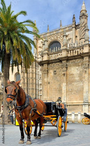 Photo: Horsedrawn carriage waiting in front of the Seville cathedral Horsedrawn carriage waiting in front of the Seville cathedral