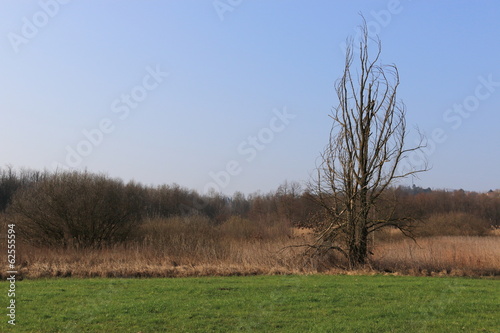 Photo: parco del Bassone - Albate parco del Bassone - Albate