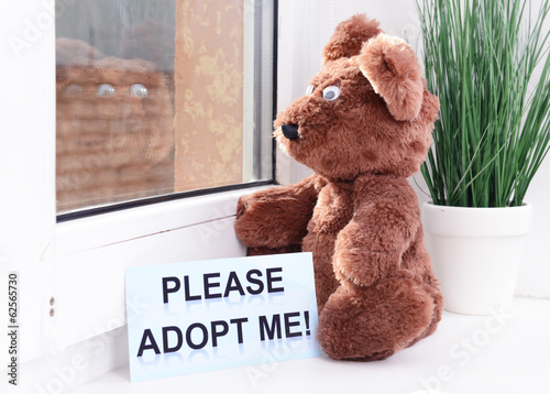 Photo: Toy-bear looking out window close-up Toy-bear looking out window close-up