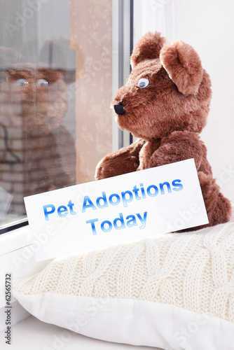 Photo: Toy-bear looking out window close-up Toy-bear looking out window close-up
