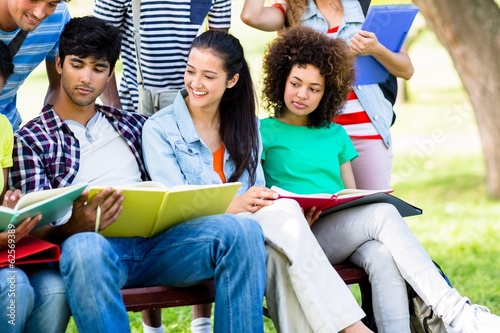 Photo: University students studying on bench University students studying on bench