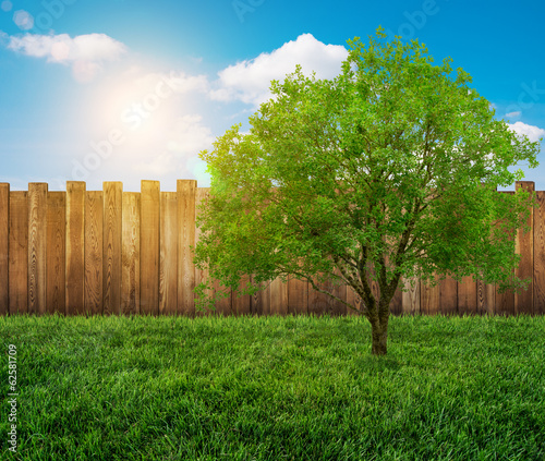 Photo: garden fence garden fence